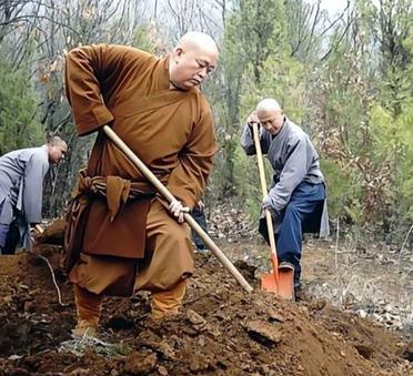 这是少林寺前方丈释永信带领少林弟子在山上挖土栽树。虽然，释永信的体型早已发福，但