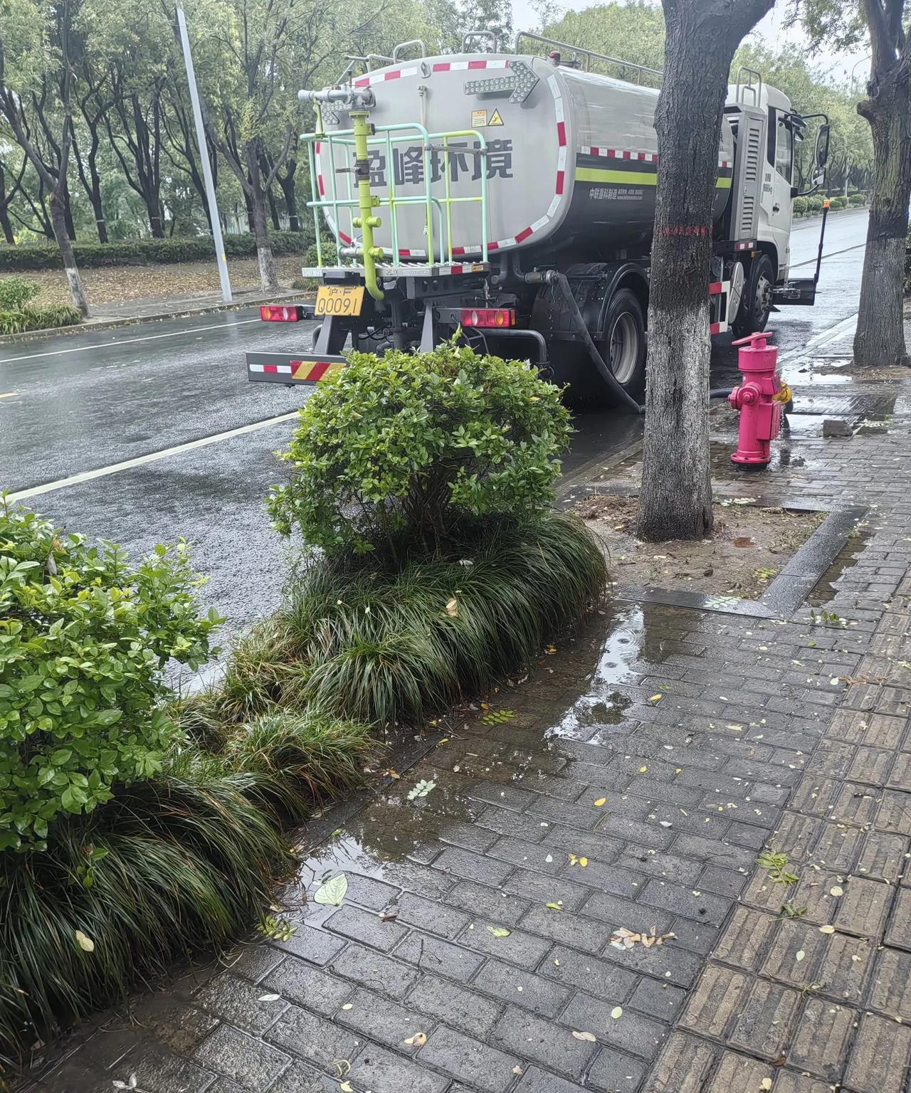 众所周知，2025年7月30号这天大半个中国都有雨，并且预报有“竹结草台风，中到
