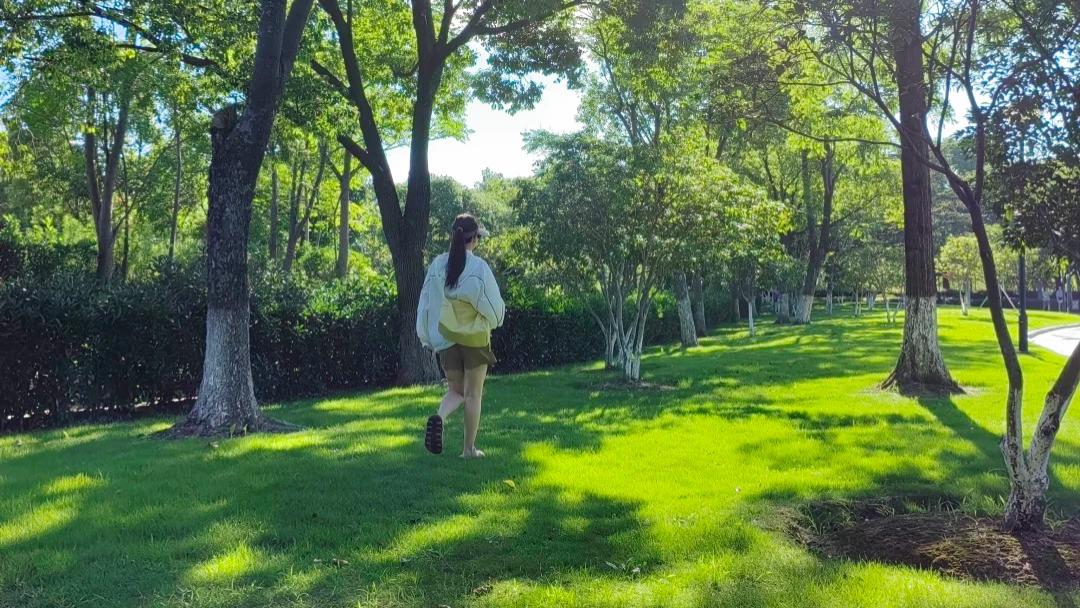 当你长期不上班，你会发现世界就是一场骗局