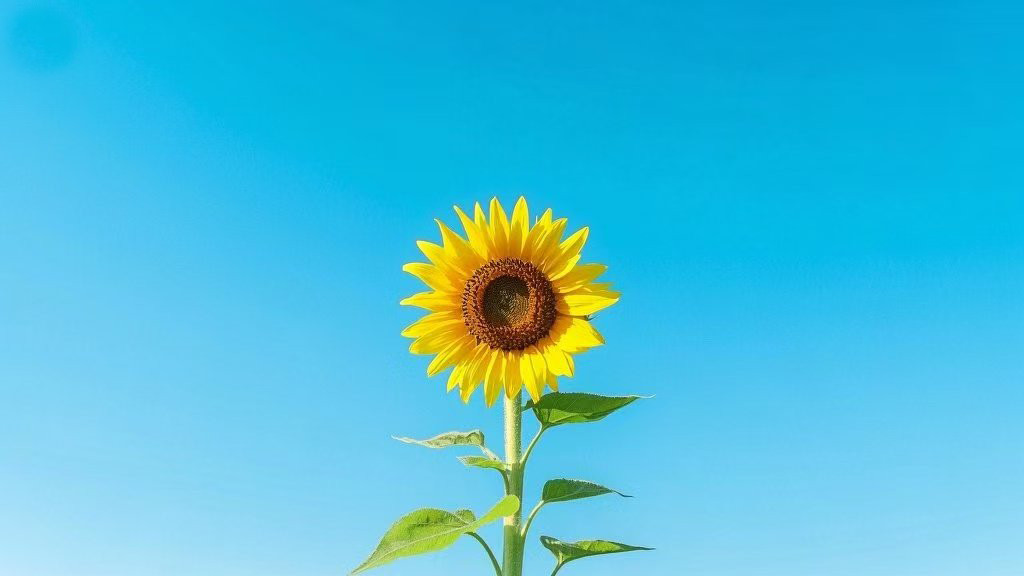 【答疑解惑】心量有多大，事业就有多大