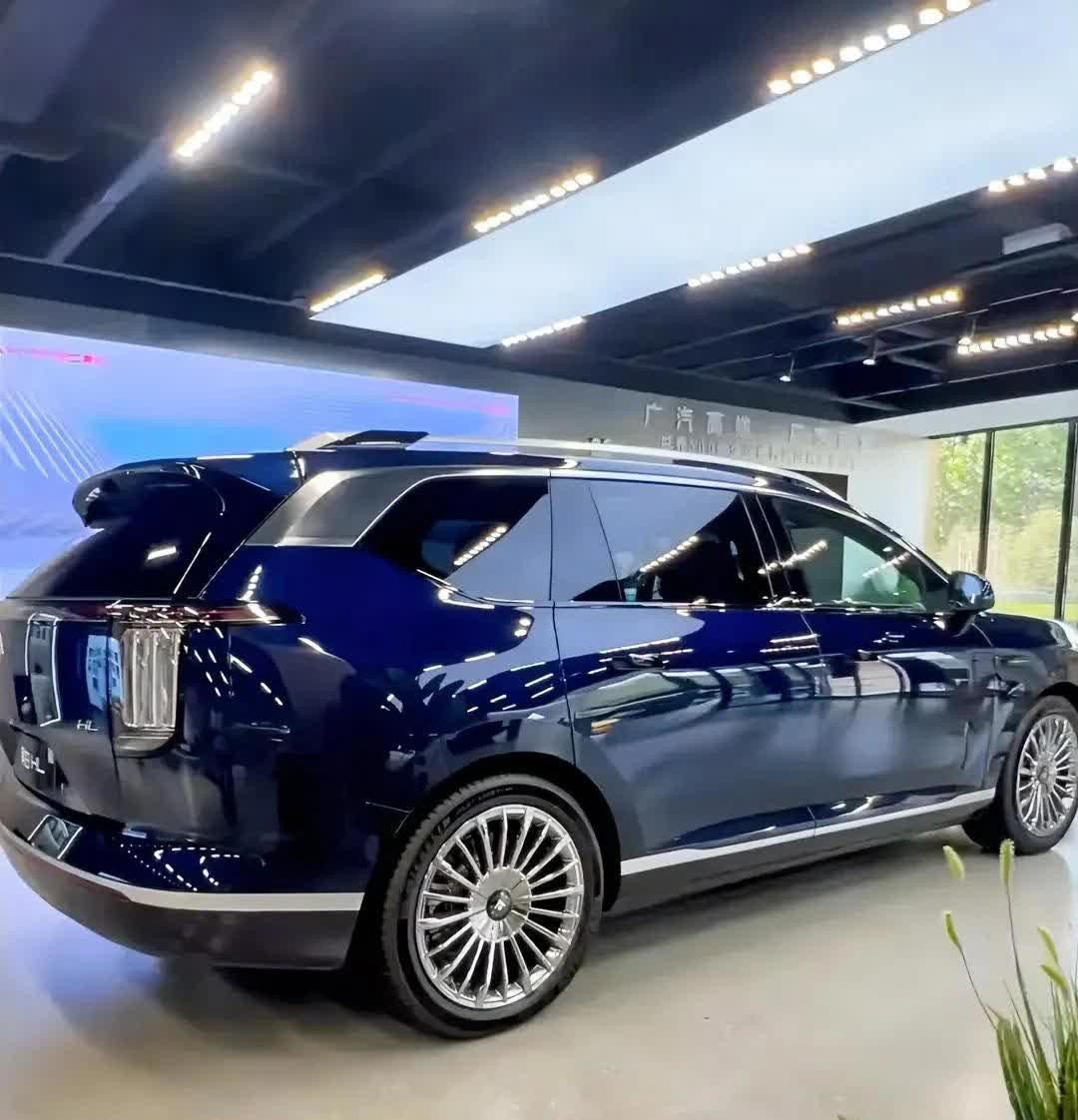 最近想入一台纯电的6座车，预算30万以内，出去看了一圈，要么是混动，要么只有5座