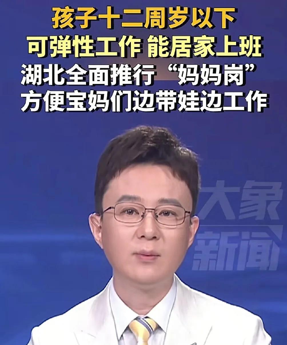 作为一个湖北人
我是反对推行妈妈岗位的
不是我没有妈妈，也不是我没有老婆
而是妈