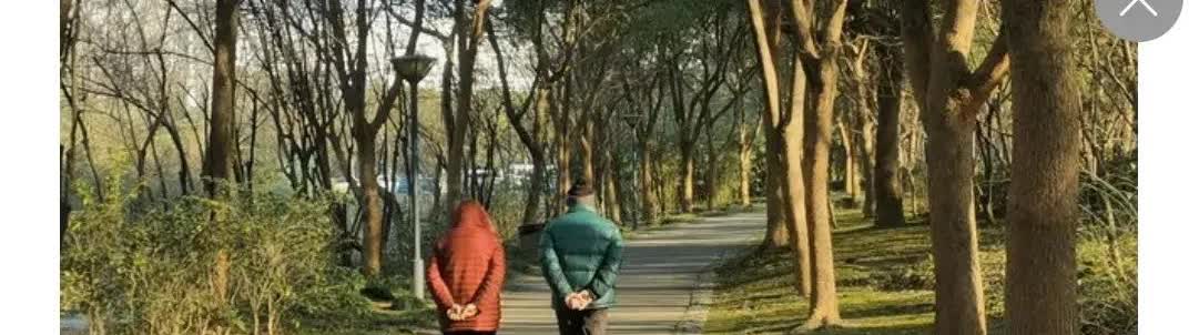 这大伯真明白

明明可以留着房子收租

偏要早早分给儿子

明明存款