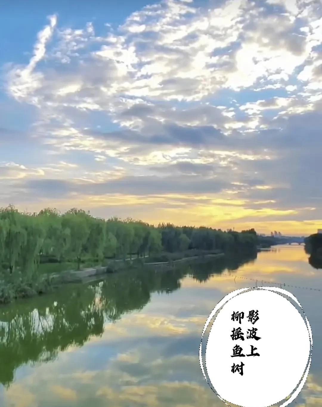 上联：柳影摇波鱼上树