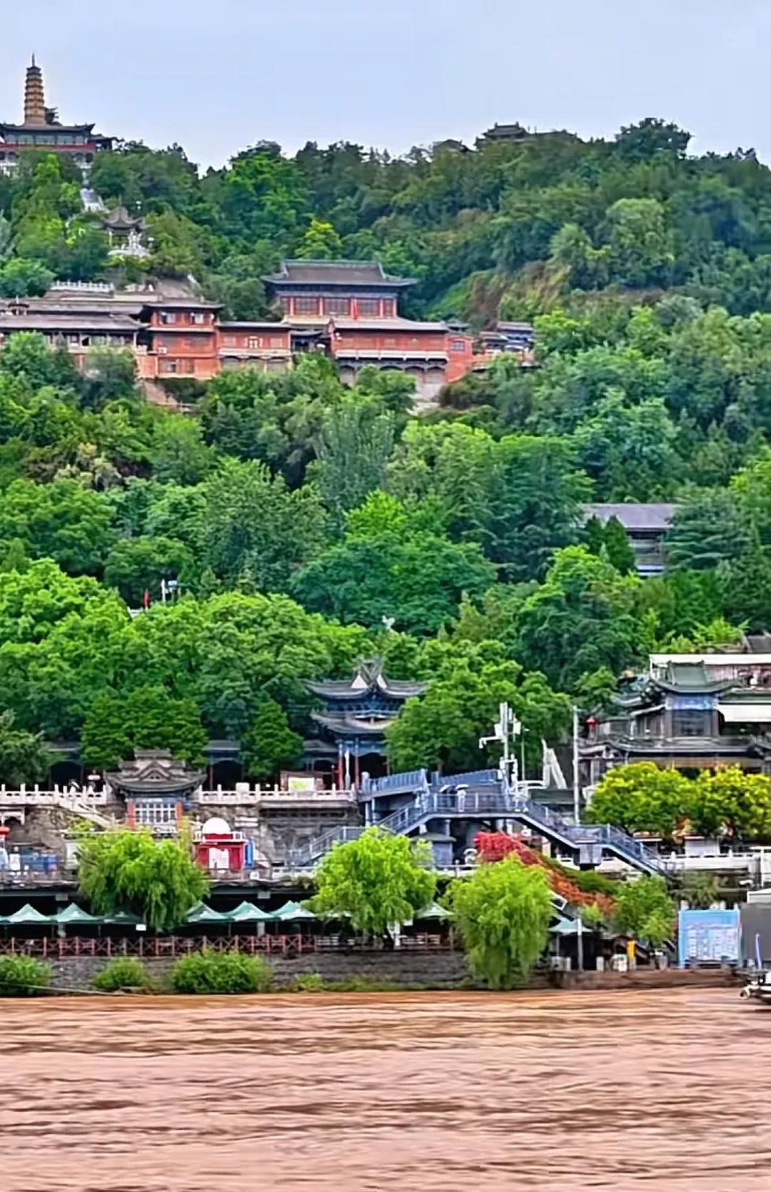 莫名其妙的限人家流量。申诉，也不给人明确答复。
这样想想也挺爽的[捂脸]
图片是