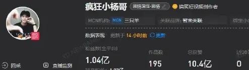 “东北雨姐”在网络上，还能星星点点的看到关于复出不复出的切片，关于“疯狂小杨哥”