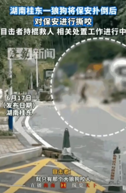 “必须严惩！”湖南，男子出去倒垃圾时，突然冲出一条大狗，将他扑倒在地撕咬，男子虽