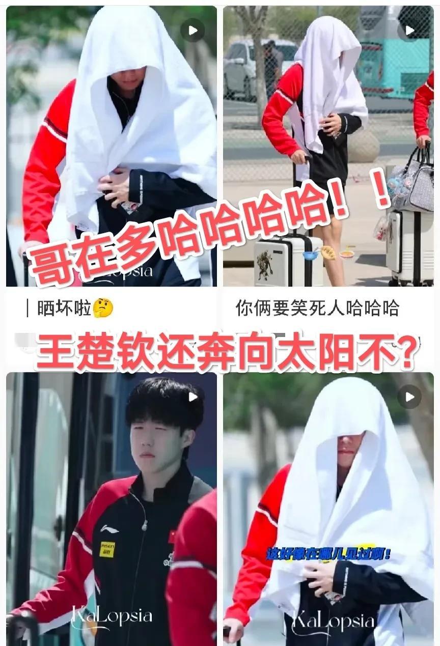 头哥，还全力以赴奔向太阳吗？这次得如愿了，够晒了吧？哈哈哈！[呲牙][呲牙]
看