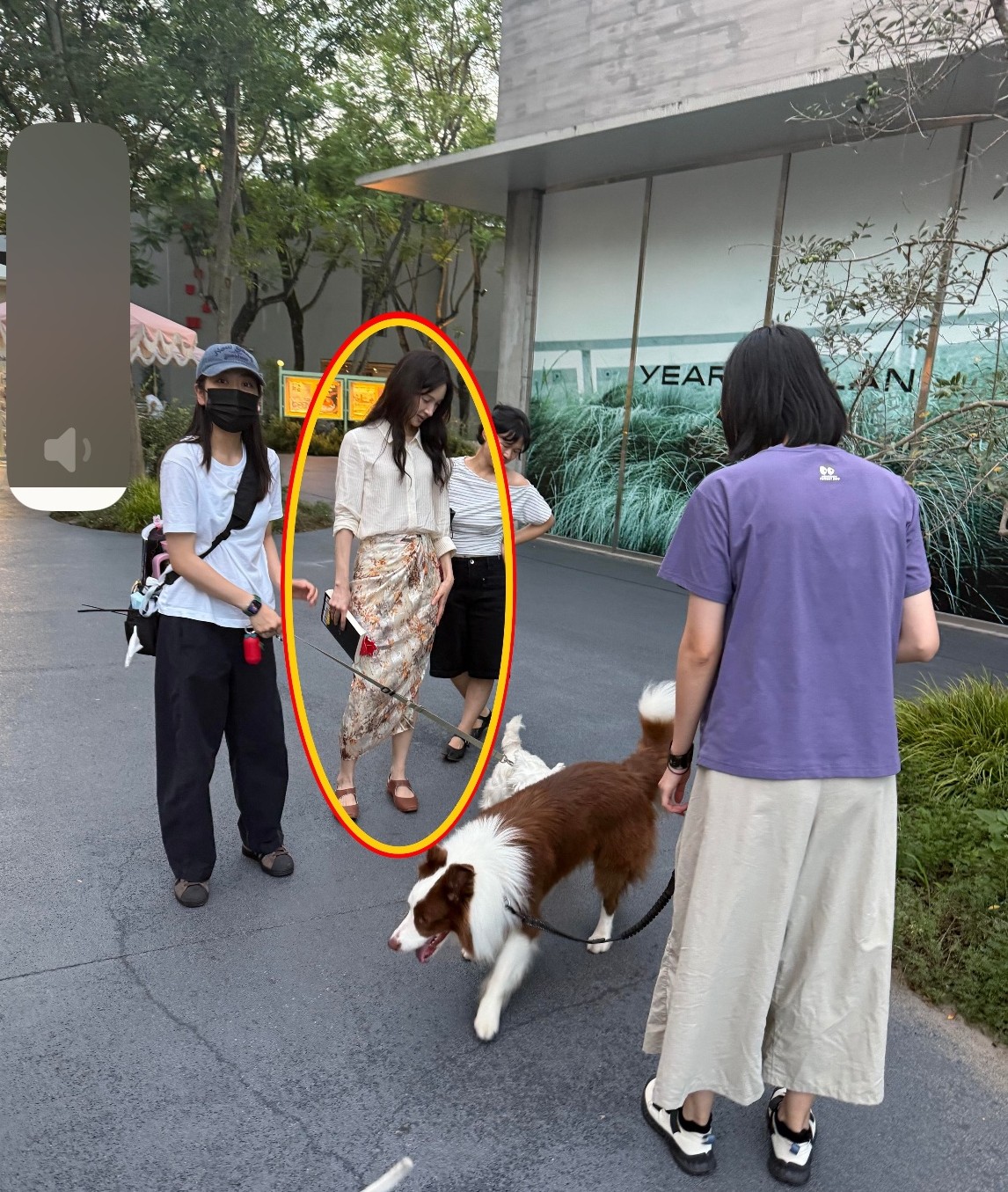 果然，女明星还要看生图