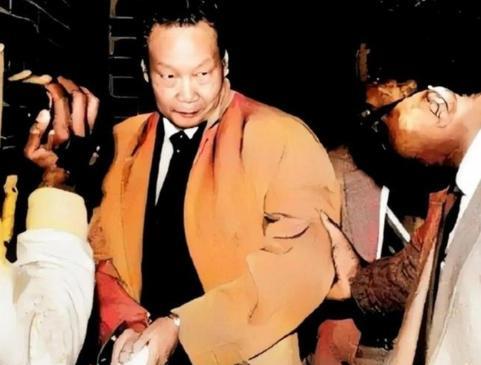 1986年，潜伏美国长达37年的王牌特工金无怠被捕，在遭受严酷审讯后，他突然有气