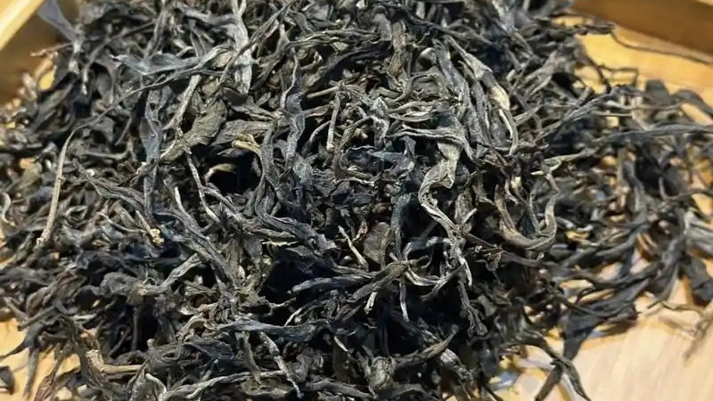 古树普洱茶一定好喝？你可能被“树龄”忽悠了!