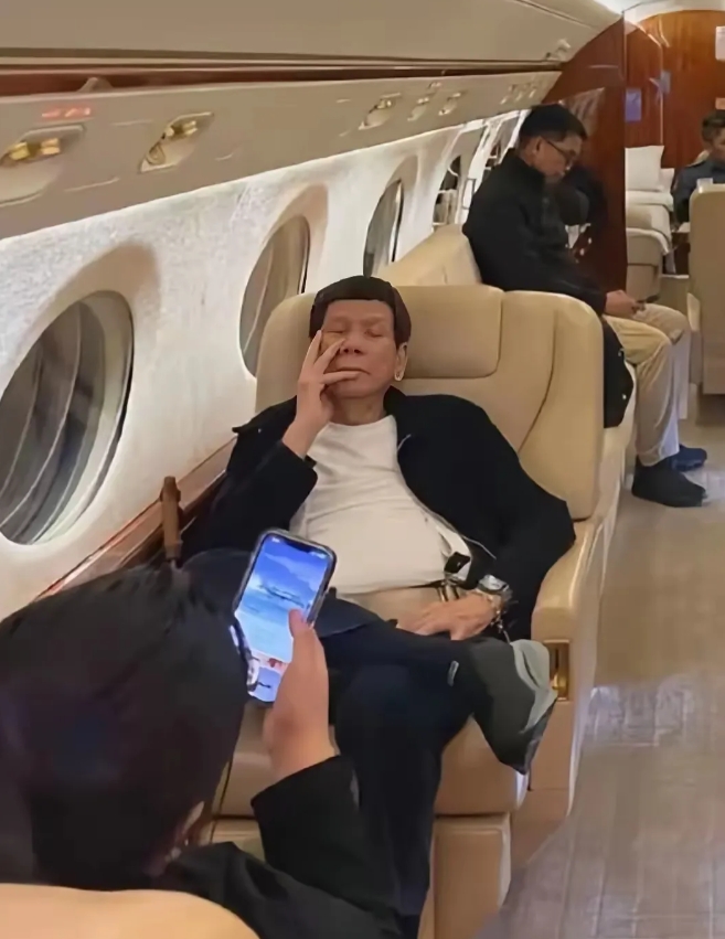 真是搞不懂，杜特尔特的女儿不是菲律宾的副总统吗，怎么不救她父亲。作为堂堂副总统，