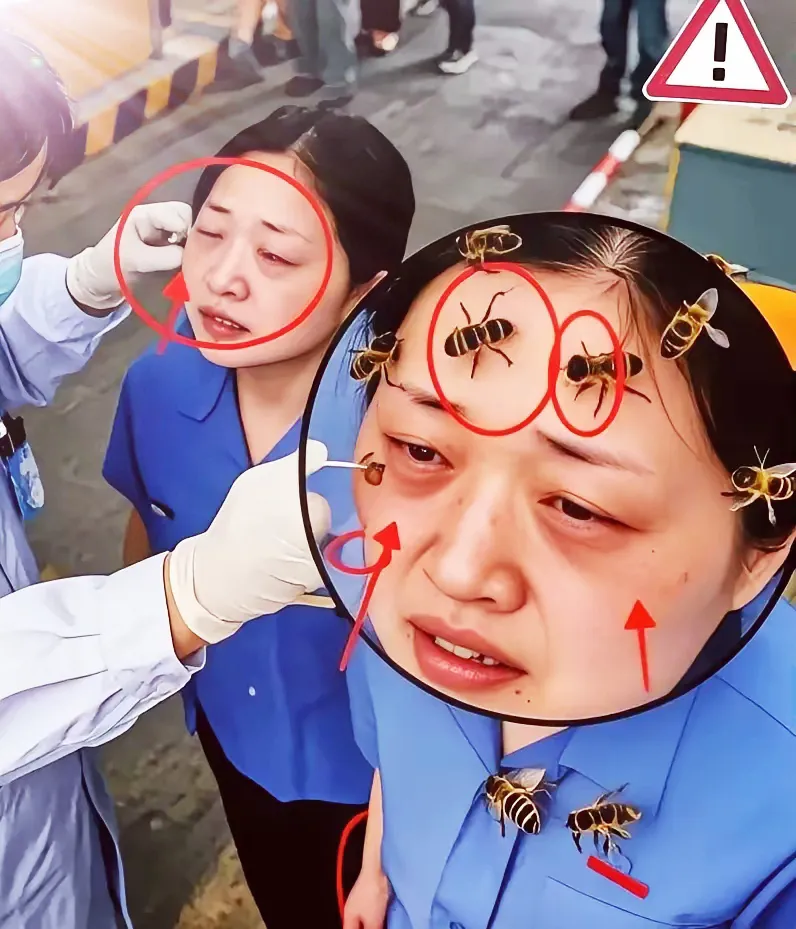这是笑话还是悲剧呢？被农夫和收费员的“蜜蜂对峙”惊到了！这边农夫急得跳脚：“蜜蜂