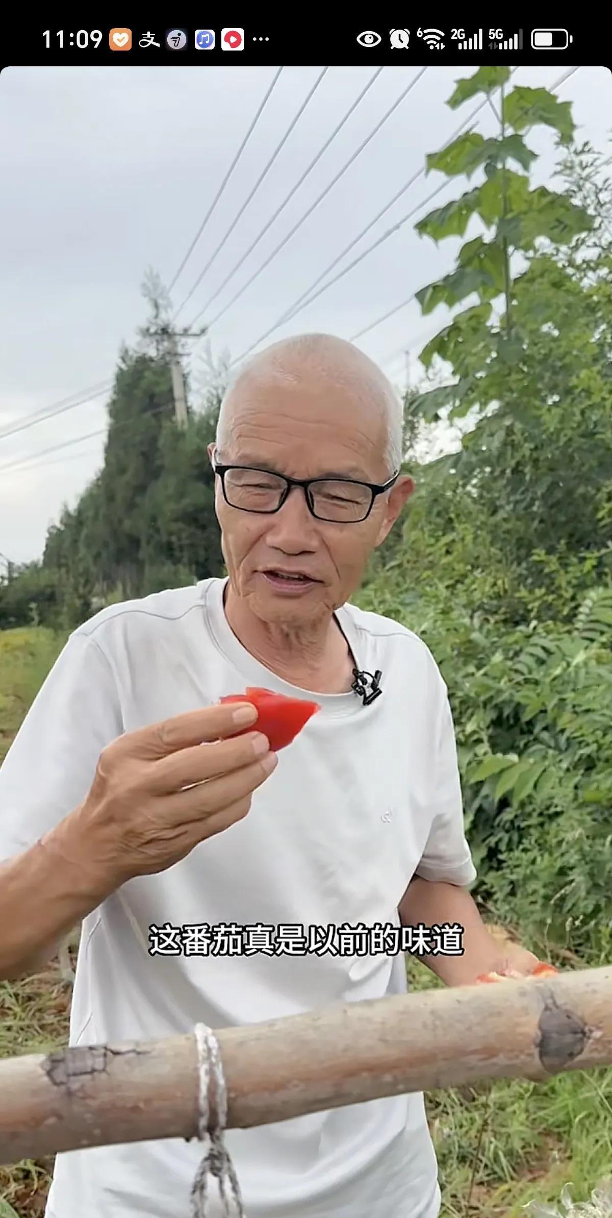 小凤老爹说团结就是力量。
小凤想要点白菜，小娜和老爹红姐人三个人去摘菜，刚好摘点
