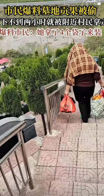 你一把年纪了，怎么做出这等让人难以理解的事——去陵园偷贡品，如今这女人都成了今日