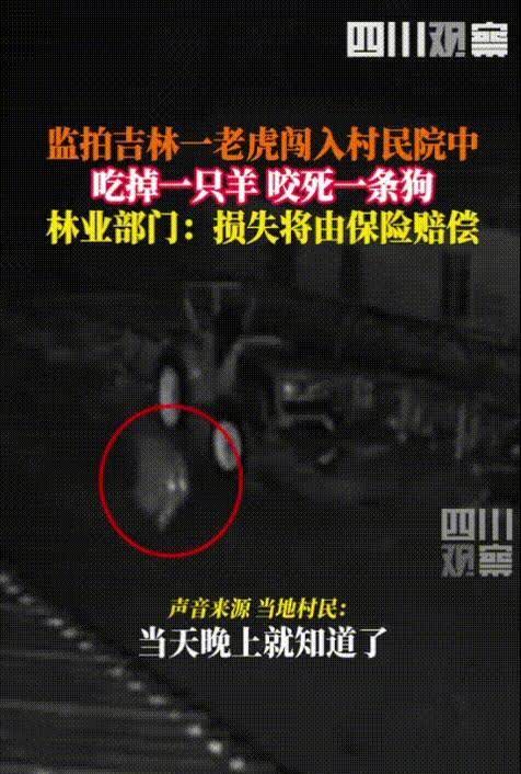 “最绝望的死法！”3月22号，吉林延边汪清县一户人家，晚上正准备睡觉，突然外面传
