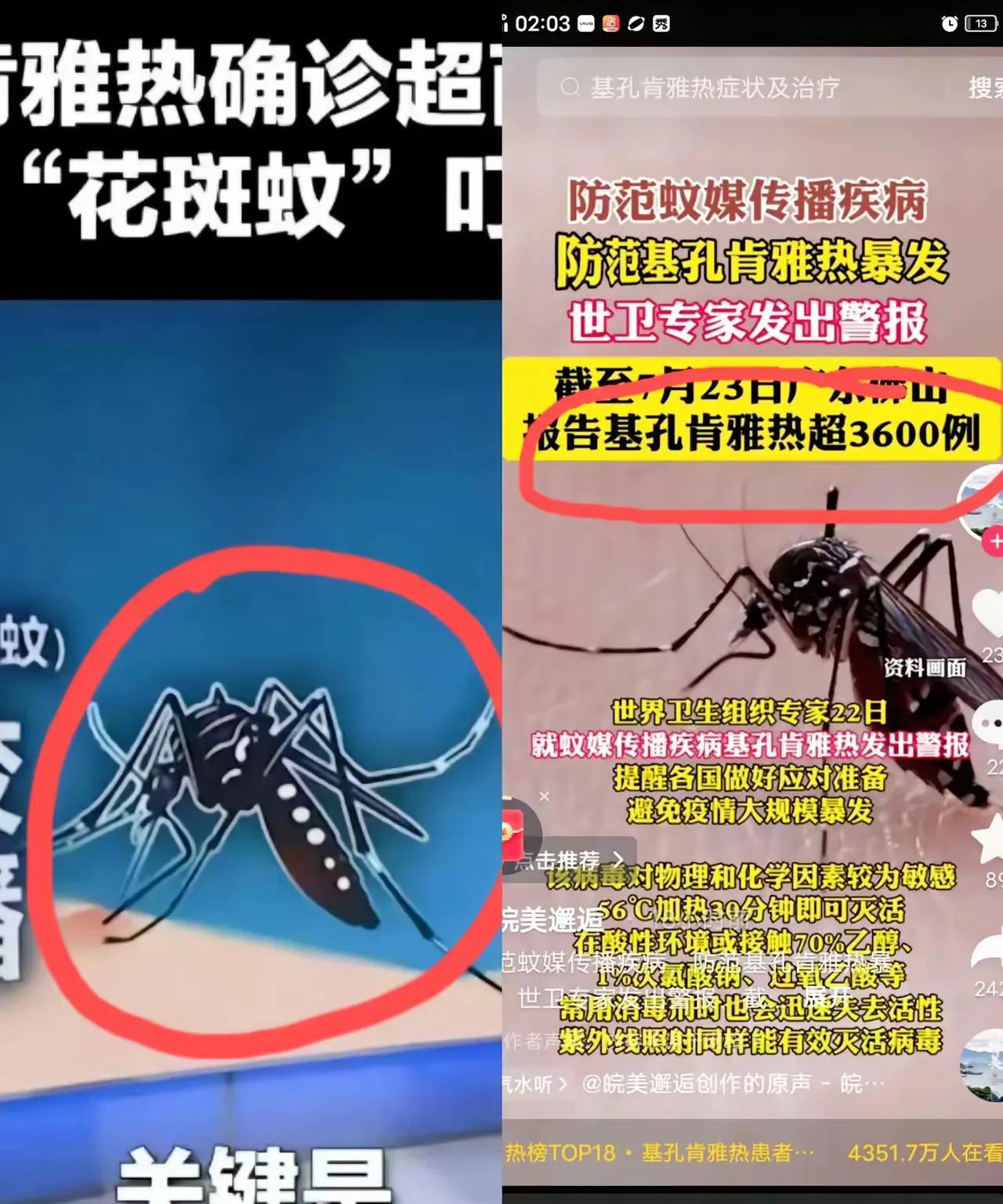 人蚊大战又要开始了，这可不是蚊香厂促销的广告，而是发生在佛山的真实写照。
基孔肯