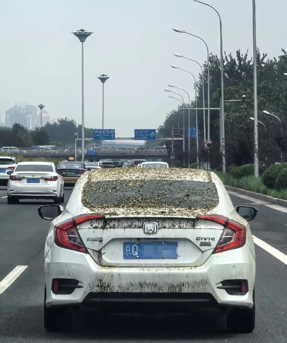 如果我没猜错的话，车主应该是工厂上班的，买车就为了过年方便回老家，平时都不开的，