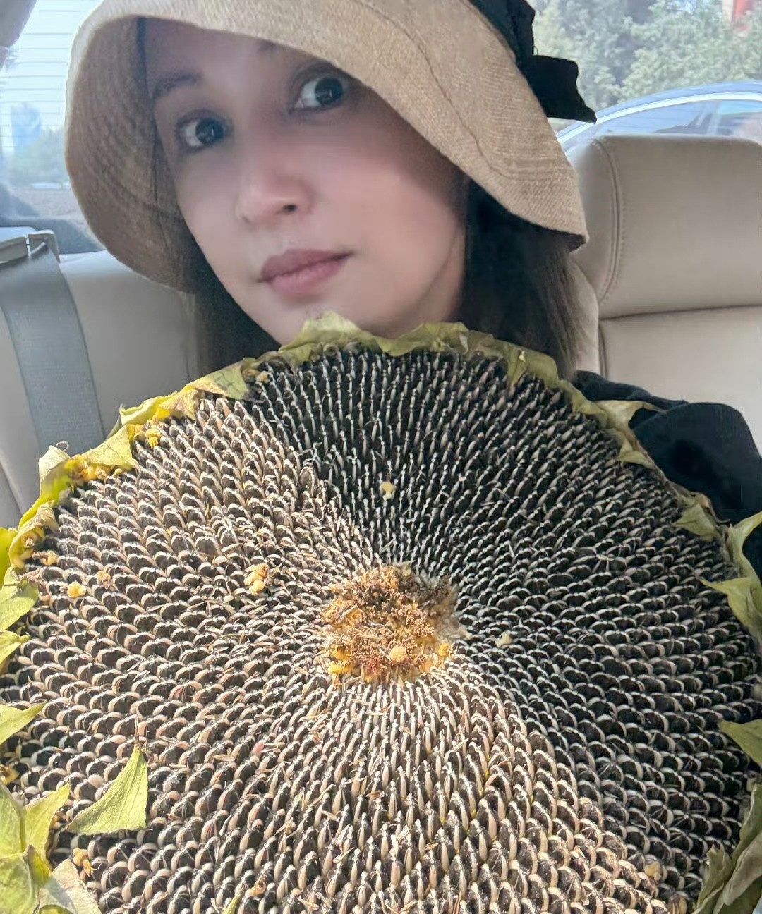 哈哈哈，袁弘也太实在了。
张歆艺追剧想嗑瓜子，结果袁弘直接给她买了一个新鲜的葵花