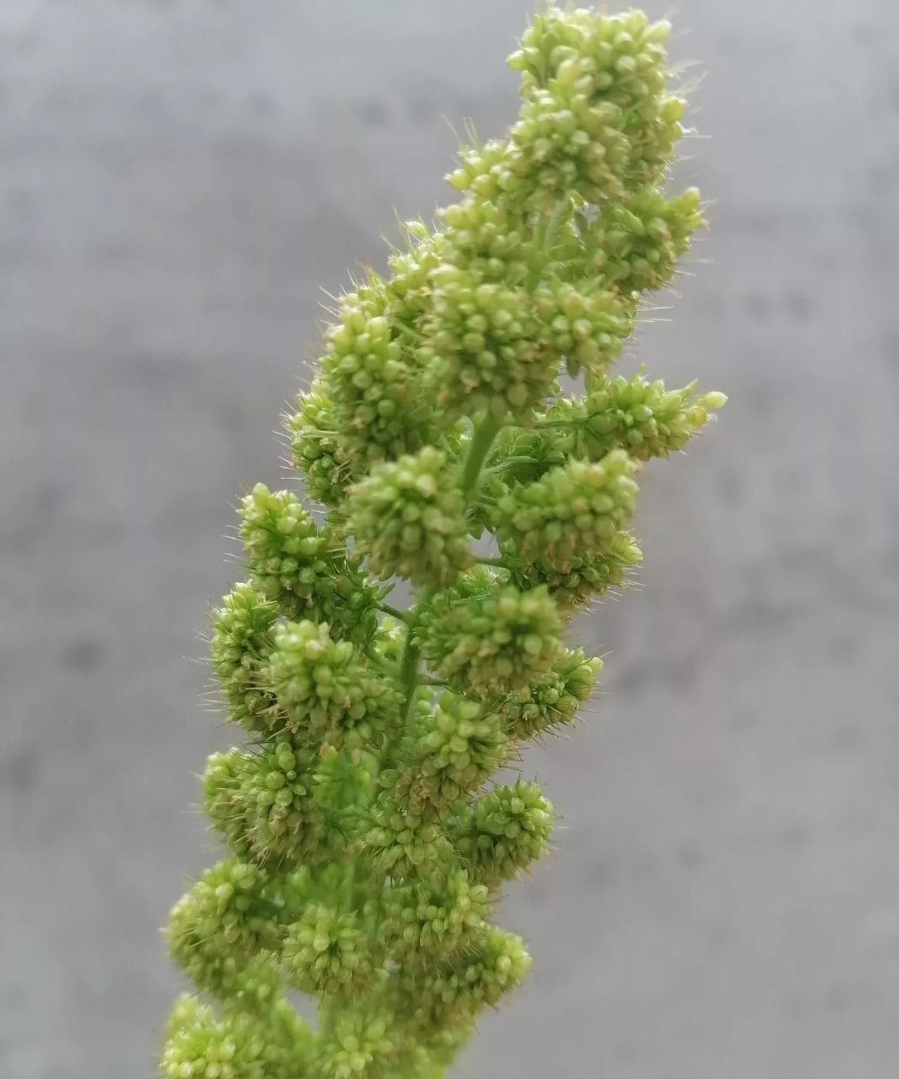 “这年头，360行，你不懂哪行也不行啊，以前，你要是找人干活儿，你不懂没事儿，师