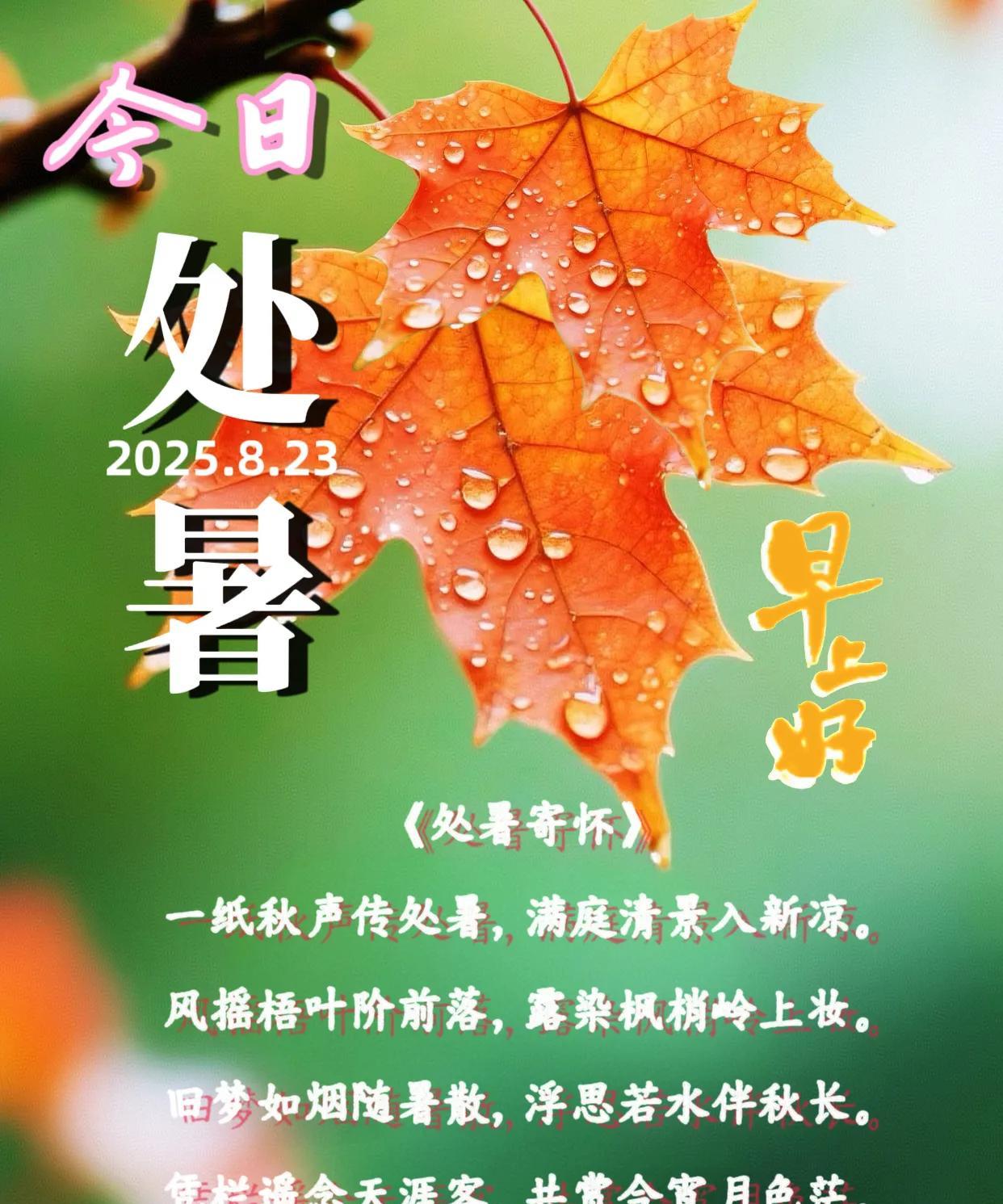 朋友：早上好！
今日交处暑节气。
《处暑寄怀》
一纸秋声传处暑，满庭清景入新凉。