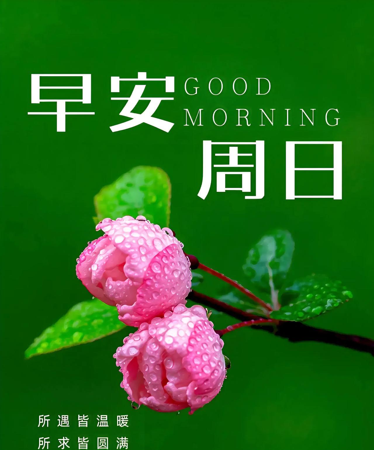 心静人自在，知足人快乐；善良人好运，宽容人平安。没有华丽的语言，只有真诚的祝福。