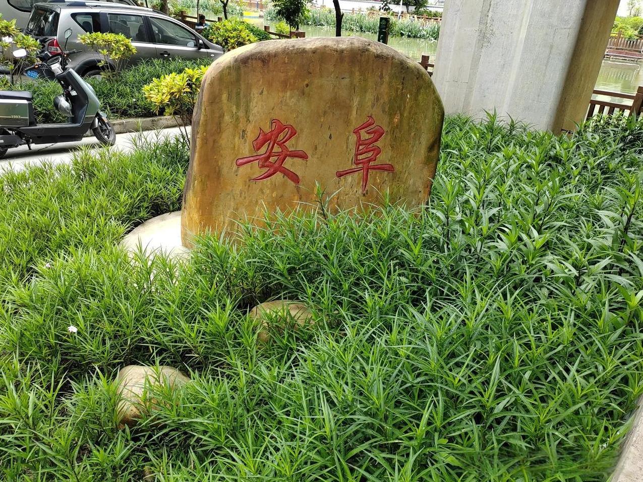 粽子头部品牌销量排名
挂艾草，吃粽子，划龙舟，戴五彩绳，洗艾汤是我们中华民族过端