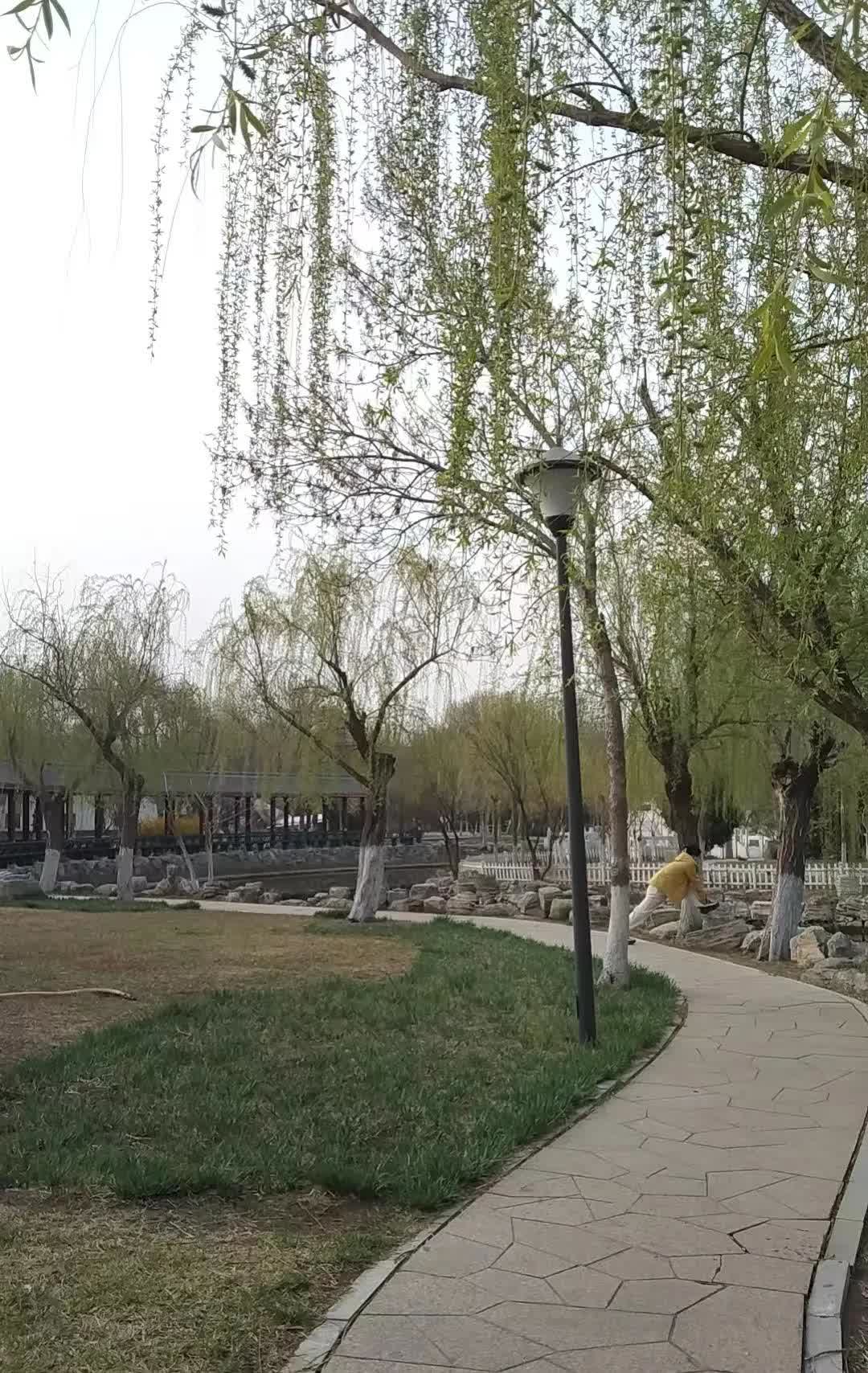 晨练的时候，李姐跟我提起了曾经一起锻炼的张姐。张姐是一位跳舞时很能跟上节奏的老大