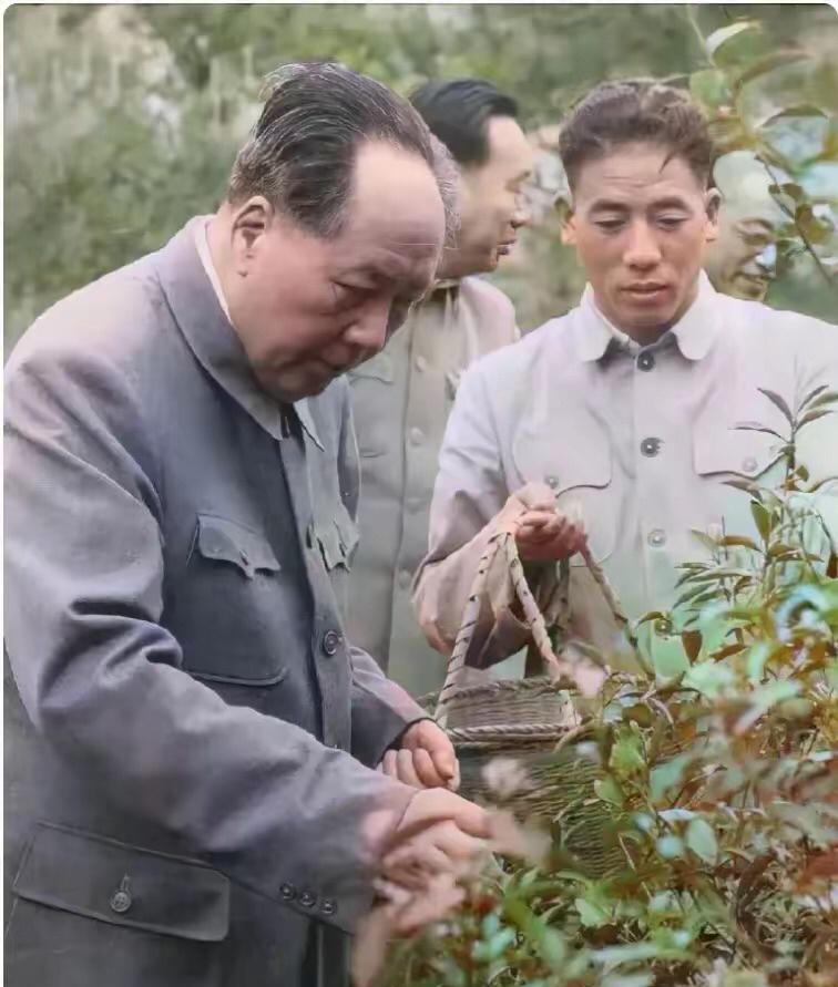 1963年，地点杭州，毛主席不止一次来到杭州考察，多次给杭州领导班子提出建设性建
