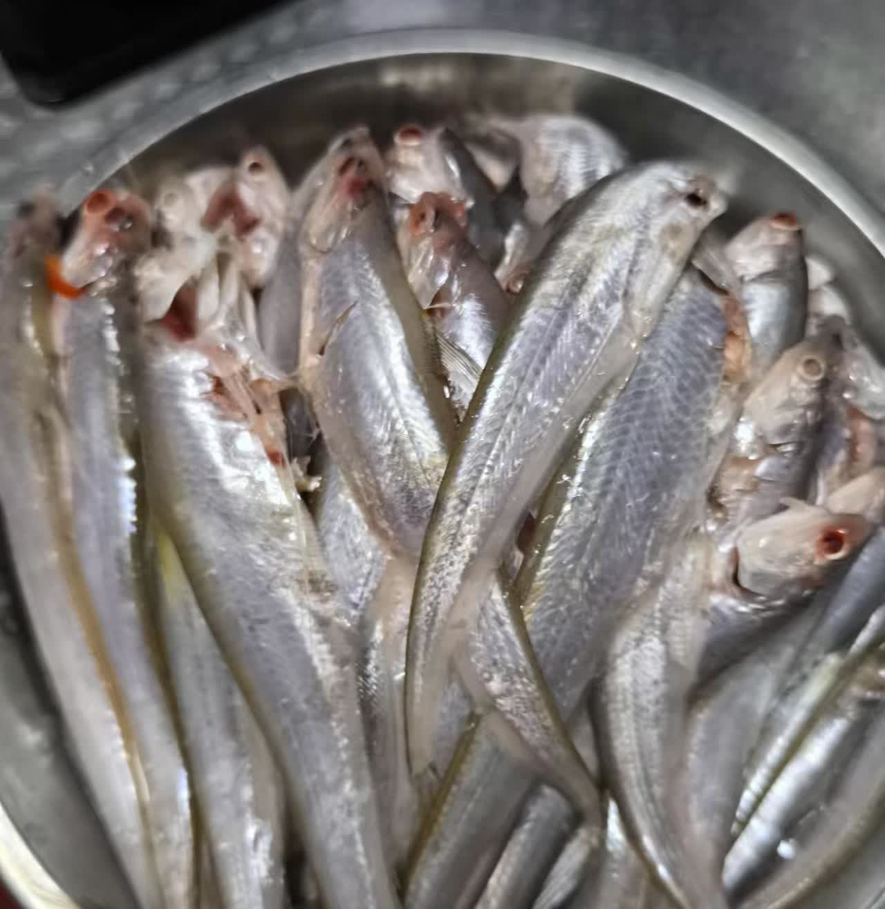 你们老家的方言把这种鱼叫什么？以前记得小时候很多妇女在池塘边洗衣服的时候，这种鱼