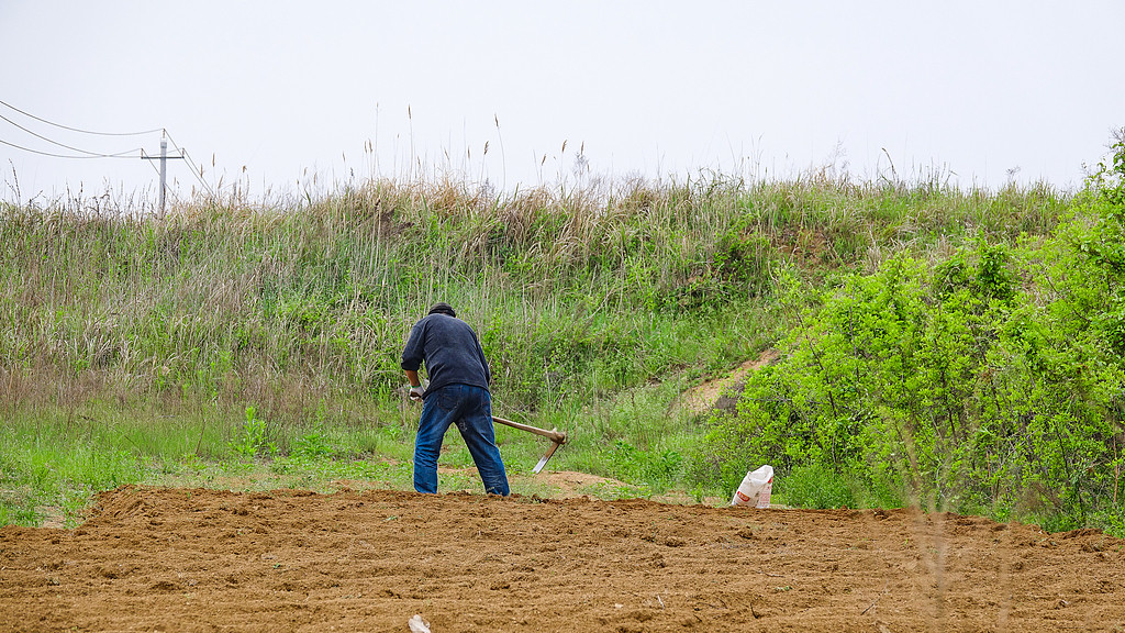 土地承包经营权能被强制执行吗？