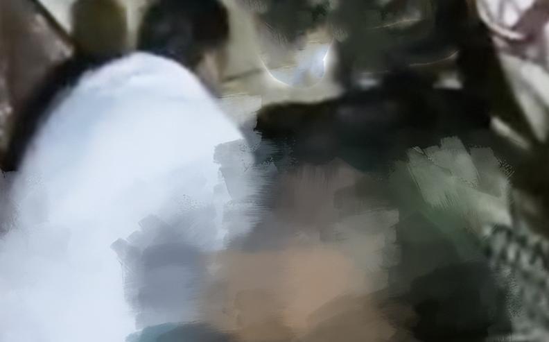 印度男子强奸12只狗，被人拍下视频。
印度官员近日证实表示，德里警方在首都沙赫达