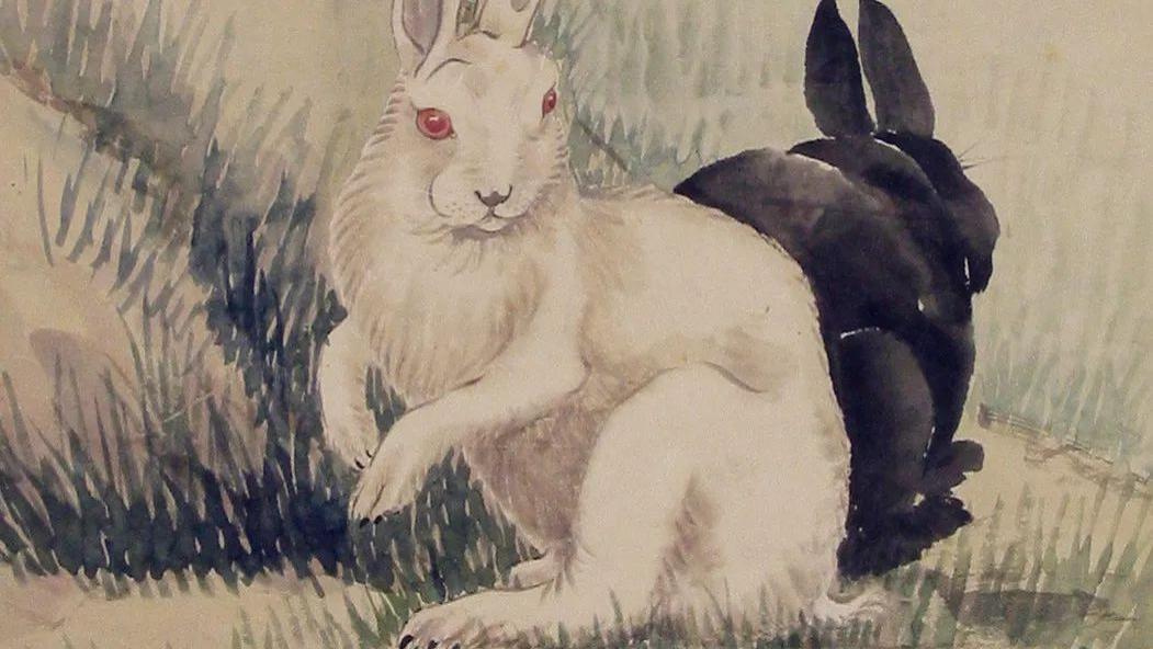 生肖兔，2025年大雪：12月7日-12月22日感情牵绊，杂乱无章！