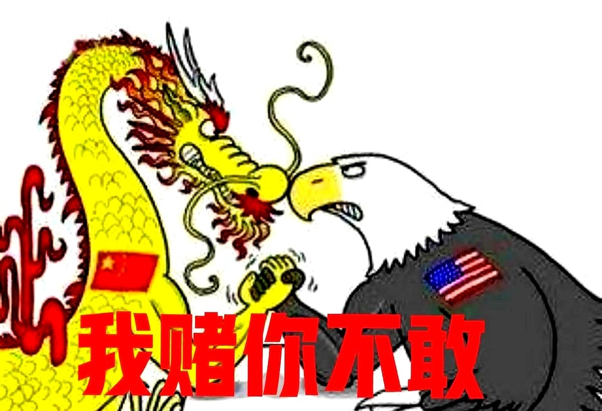 中美开战？大家都想看热闹！











嘿，你敢信吗？全世界都在偷偷摸