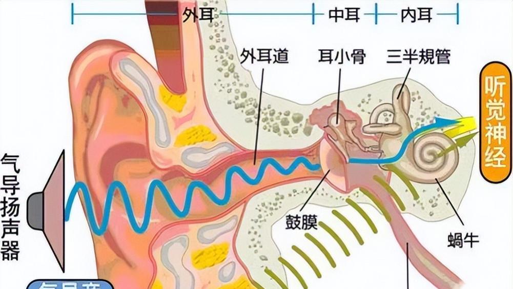什么是开放式耳机? 开放式哪个品牌好? 四款优质产品推荐！