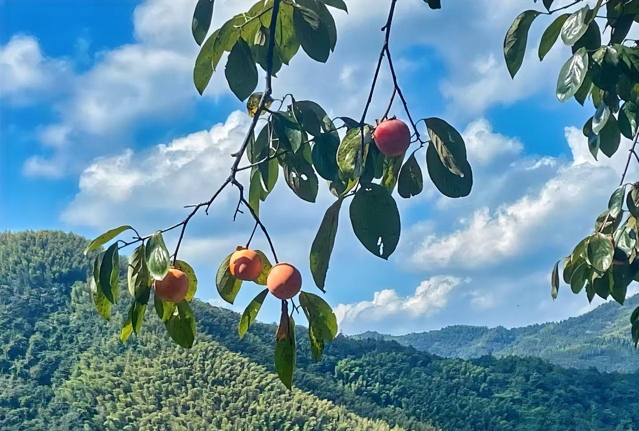 教师评职称，越早越好。
因为教师的工资与职称挂钩，评得越早，你的工资就会越高。