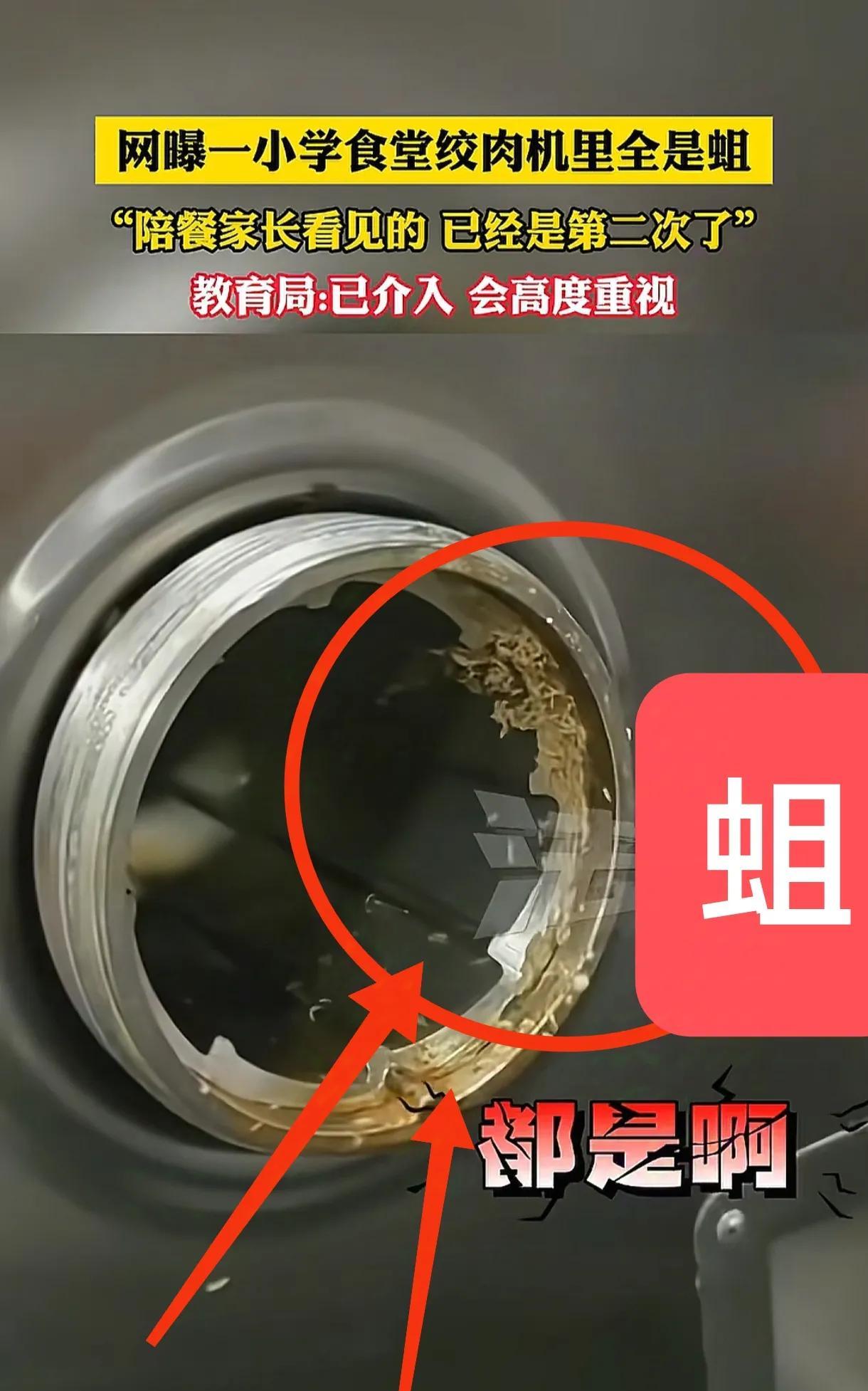 刷到浙江学校食堂有蛆，作为曾经卖肉的老板，我得说两句。  这消息让我瞬间想起以前