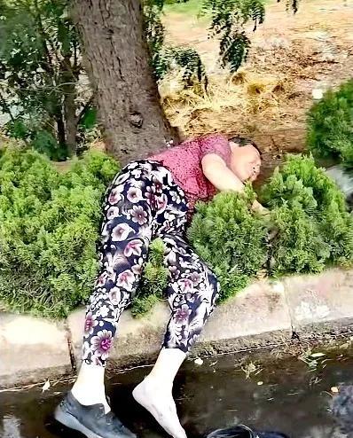 早晨出去锻炼身体，在路边偶然看到的惊魂一幕，面对此景顿感束手无策，旁边也没有其他