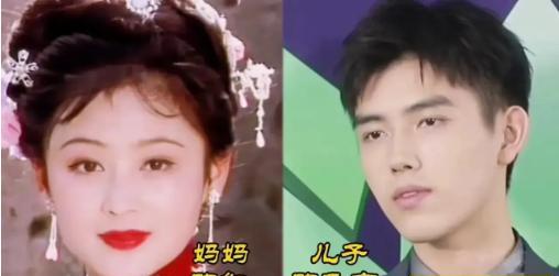 18对明星母子颜值对比，张镐濂、黄恺杰、谢霆锋等，不但都有容貌出众的母亲，而且他