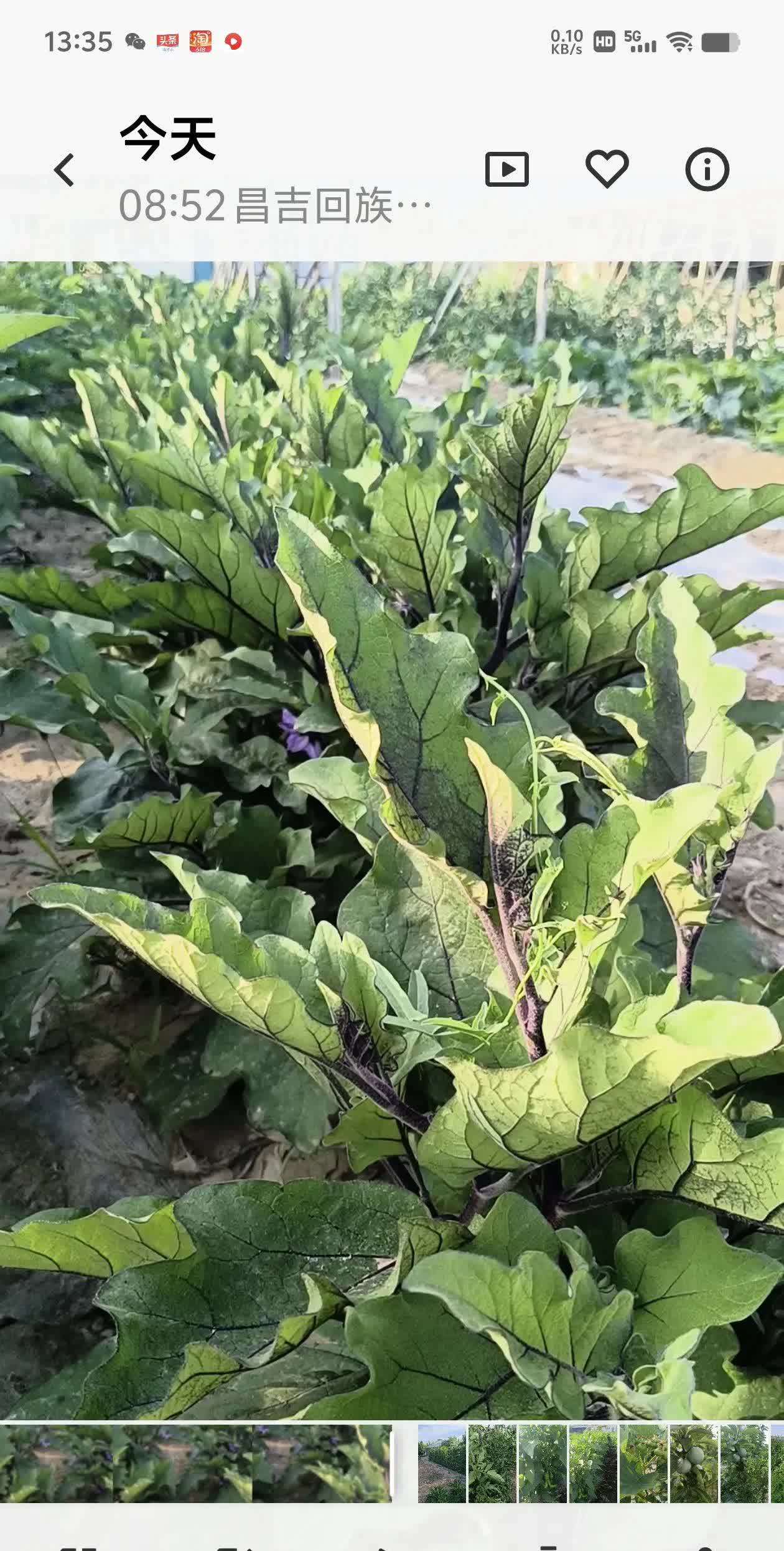 该降价了！
昨天去芳草湖农贸市场，发现今年蔬菜价格高于去年。经询问价后原来芳草