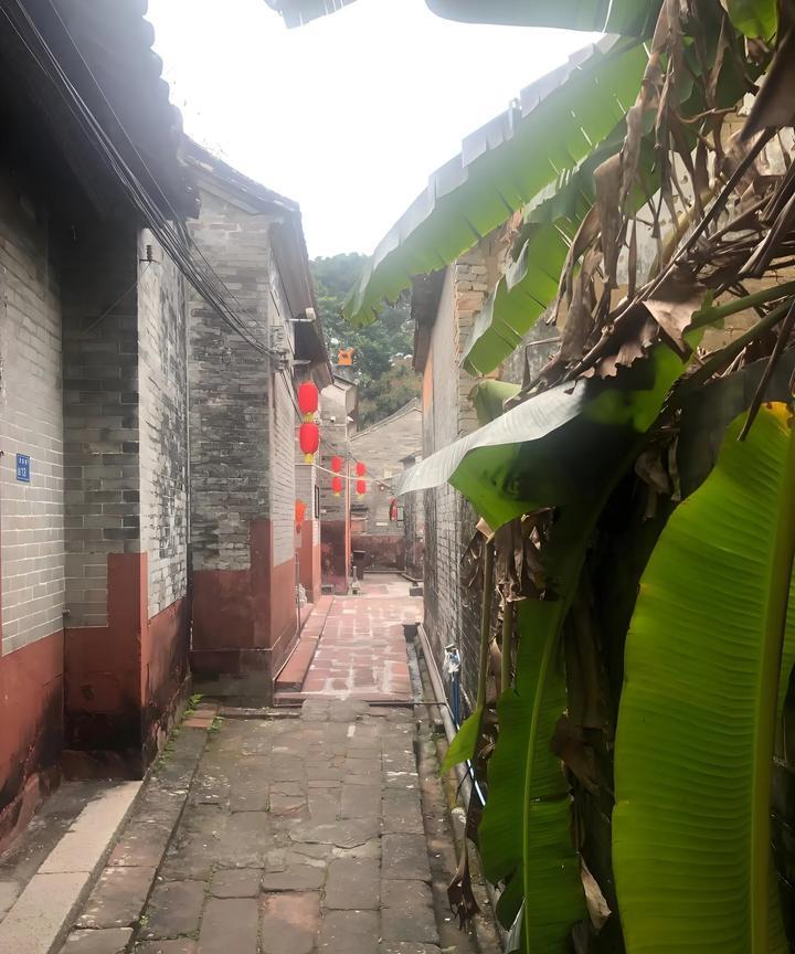 为啥许多人都认同失业了千万别回农村老家，呆在出租屋就好？
今天刚刚体会到，以前同