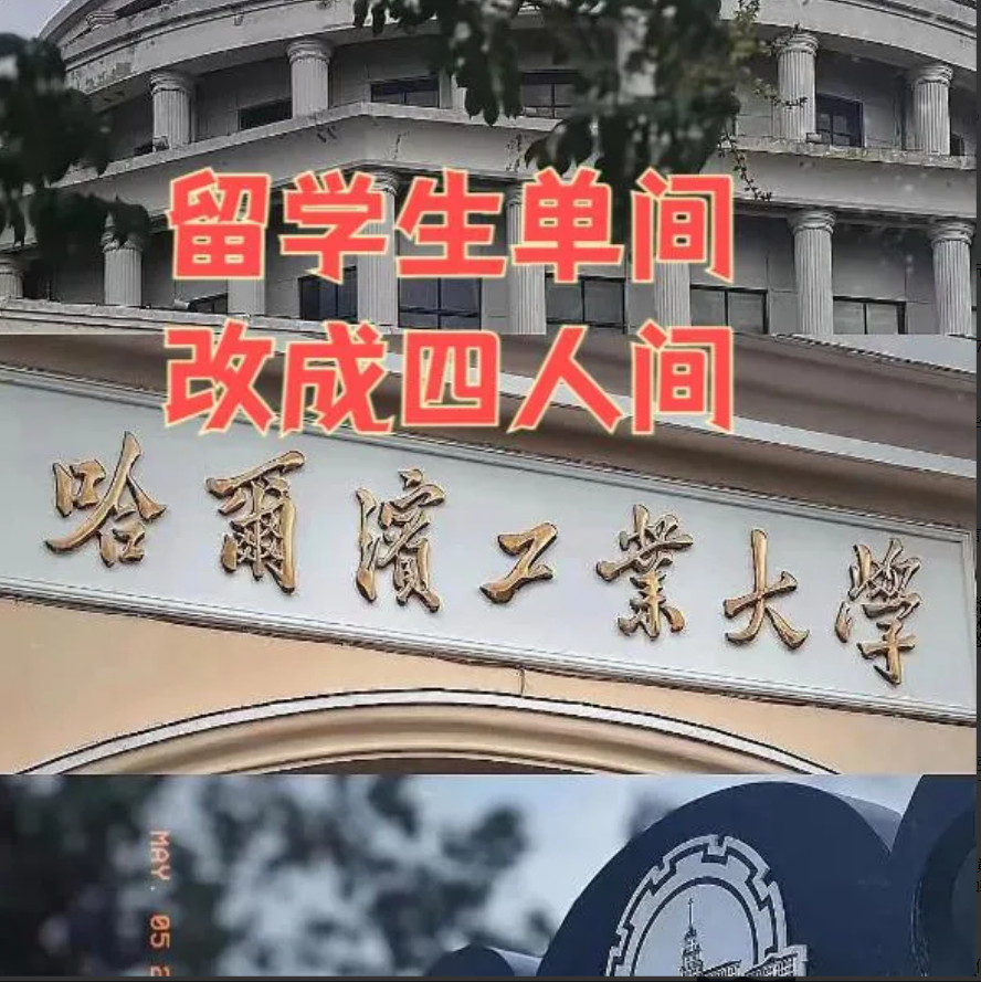 你们洋人的福利没有了，现在习惯不了，那你们就慢慢习惯，不然就回自己家里享福去吧。