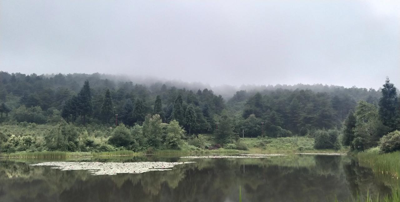 晚上睡不着我就会想三个事情:
第一个，最想身边有个陌生异性陪；
第二个，喝点泡酒