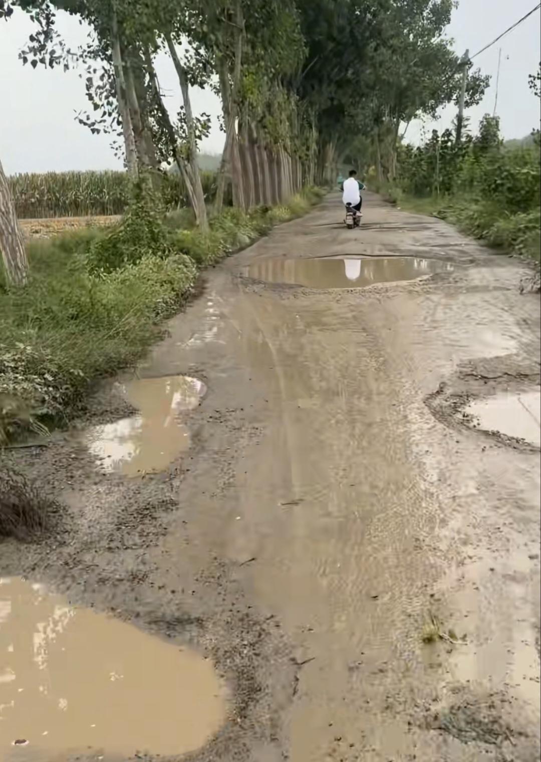 河南的雨，好像下了半个世纪
前半个月哩哩啦啦没有停
后半个月啦啦哩哩一刻也没停下