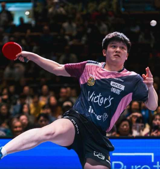 德国摄影师镜头下的樊振东，充满力量感和欣赏性，坚韧又帅气的眼神。