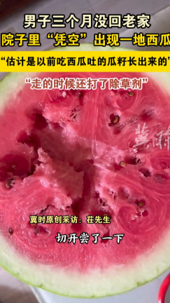 “离了个大谱！”江苏徐州，一男子离开老家3个月，临走之前在院子里洒了除草剂，谁知