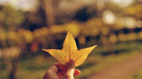 践行“好心有好报”：从今日启程，用善举开启美好人生