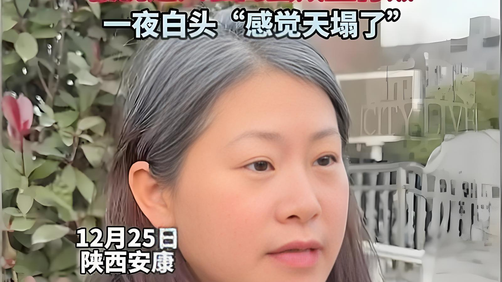 看到那一头如雪的白发，我顿住了。苦难不必歌颂，但绝境里长出的骨骼，铮铮回响