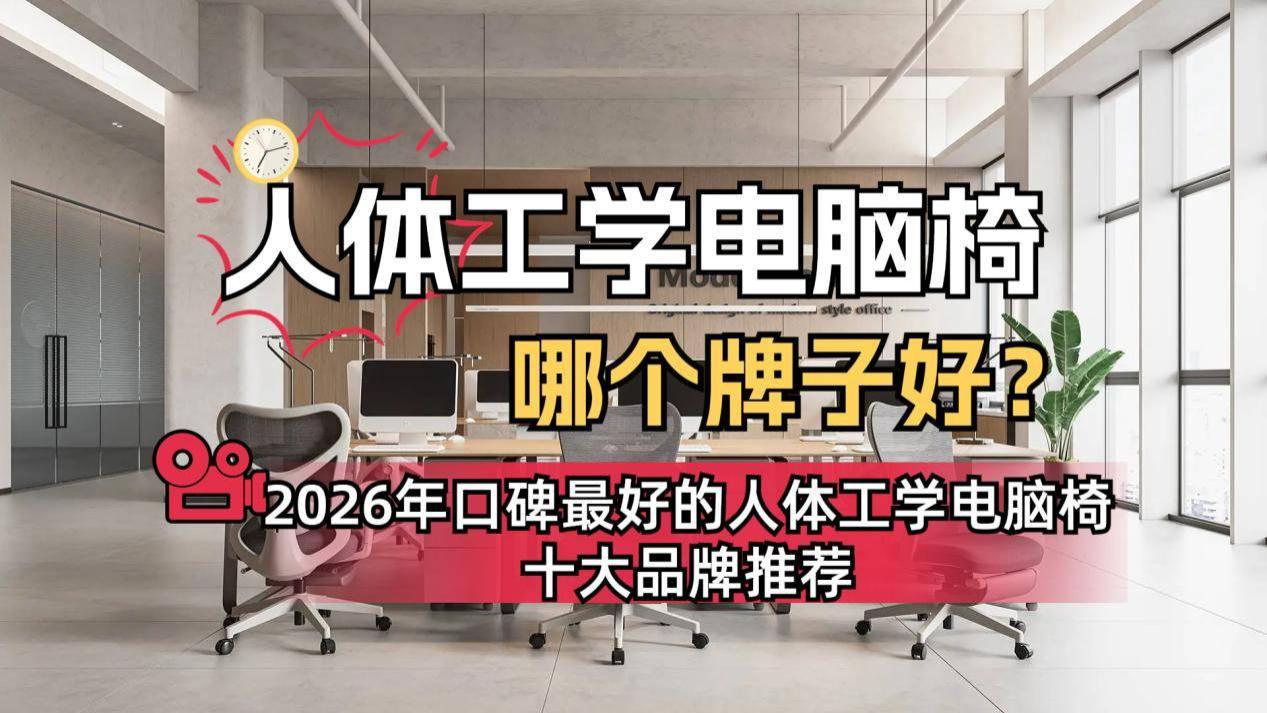 人体工学电脑椅哪个牌子好？2026年口碑最好的人体工学电脑椅十大品牌推荐