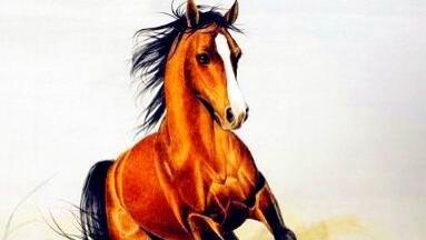 四大生肖迎好运：贵人相助，财富汇聚，桃花绽放